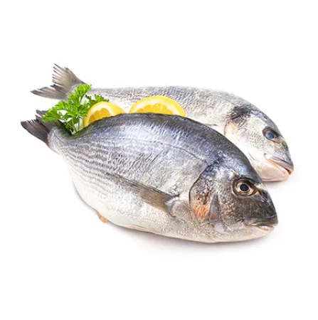 Picture for category Frozen Fish