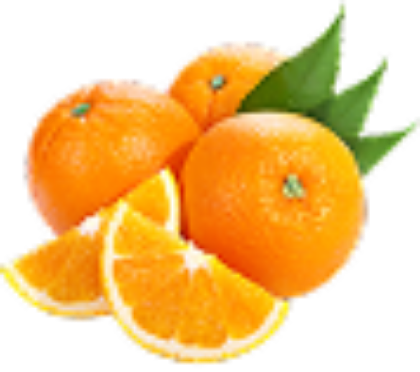 Picture of Fresh Lemon Exporter